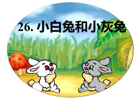 《小白兔和小灰兔》PPT课件7