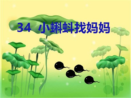 《小蝌蚪找妈妈》PPT课件4