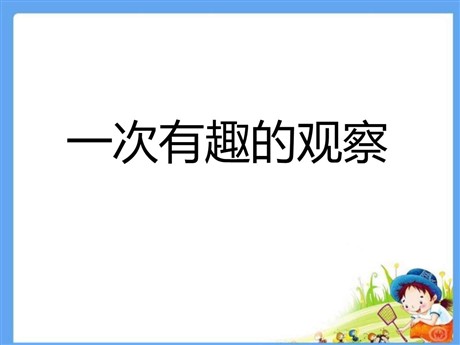 《一次有趣的观察》PPT课件2