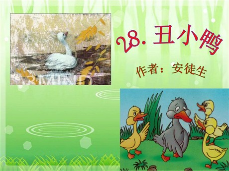 《丑小鸭》PPT课件9