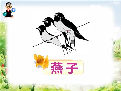 《燕子》PPT课件11