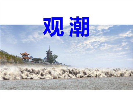 《观潮》PPT课件5
