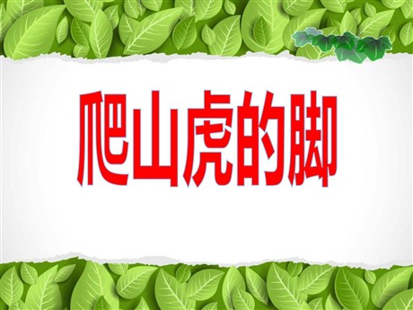 《爬山虎的脚》PPT课件2