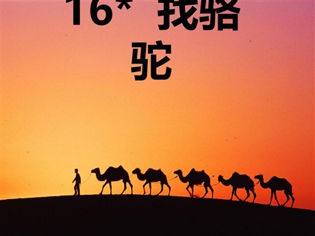 《找骆驼》PPT课件2