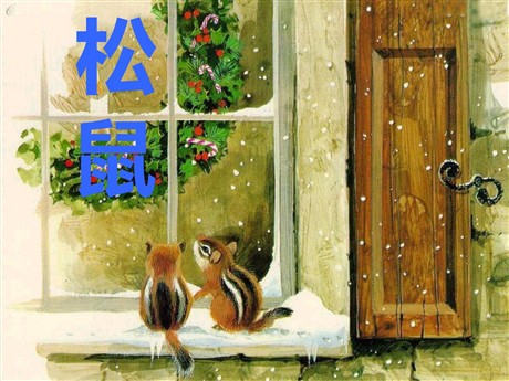 《松鼠》PPT课件8