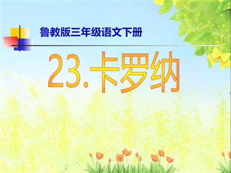 《卡罗纳》PPT课件5