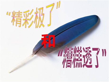 《“精彩极了”和“糟糕透了”》PPT课件5