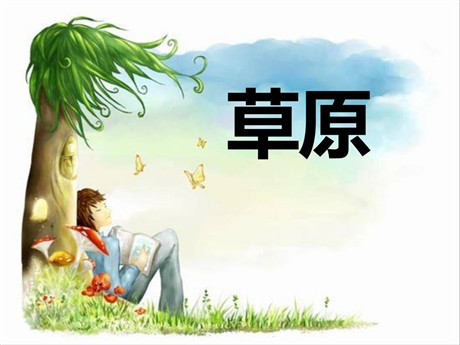 《草原》PPT课件9