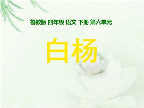《白杨》PPT课件7