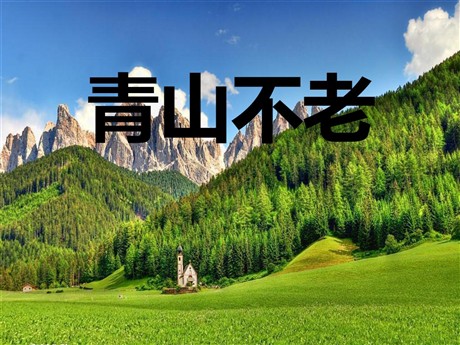 《青山不老》PPT课件6