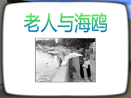 《老人与海鸥》PPT课件5