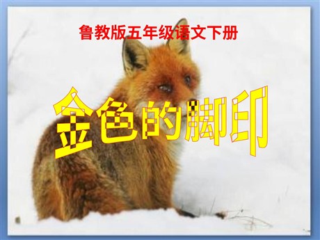 《金色的脚印》PPT课件5