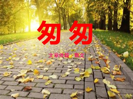 《匆匆》PPT课件7