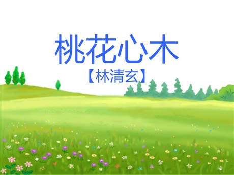 《桃花心木》PPT课件6