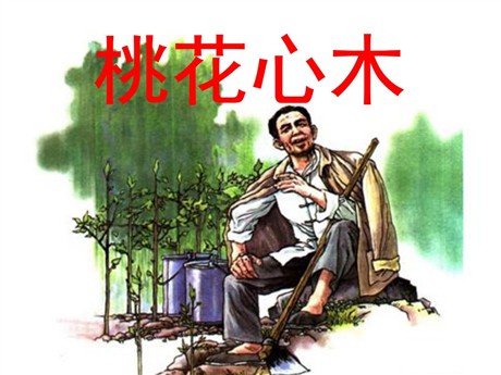 《桃花心木》PPT课件7