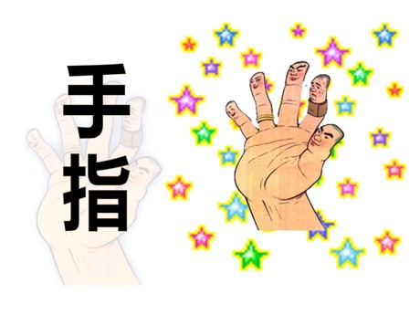 《手指》PPT课件5