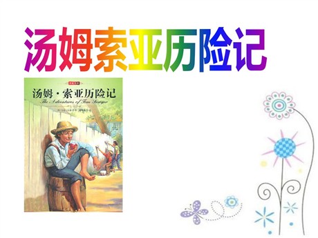 《汤姆·索亚历险记》PPT课件4