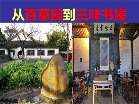 《从百草园到三味书屋》PPT课件13