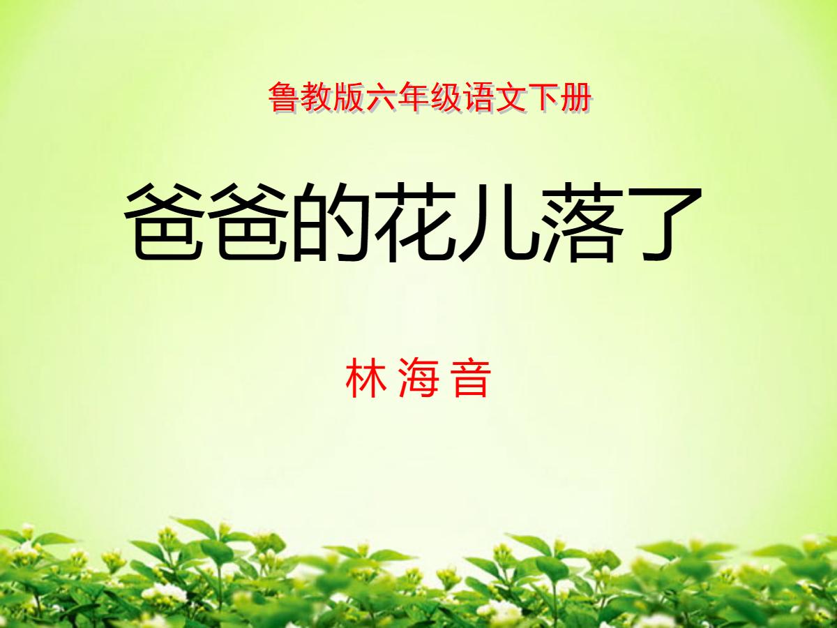 《爸爸的花儿落了》PPT课件7