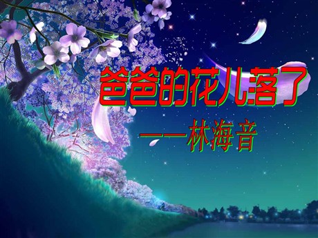 《爸爸的花儿落了》PPT课件8