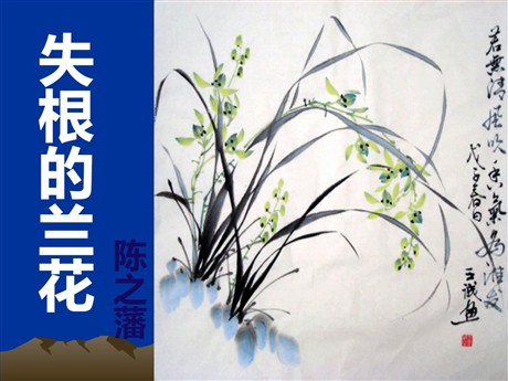 《失根的兰花》PPT课件2