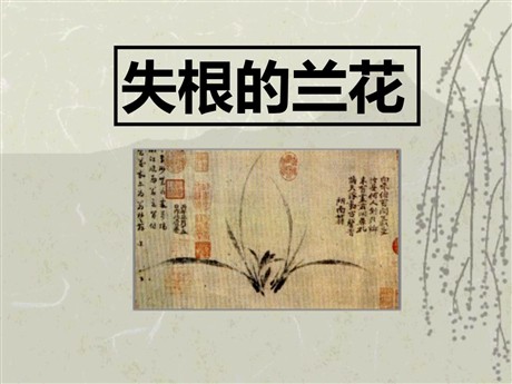 《失根的兰花》PPT课件3