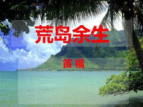 《荒岛余生》PPT课件4