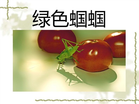 《绿色蝈蝈》PPT课件3