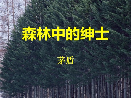 《森林中的绅士》PPT课件