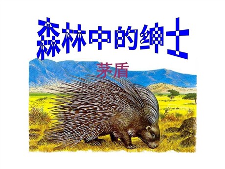 《森林中的绅士》PPT课件3