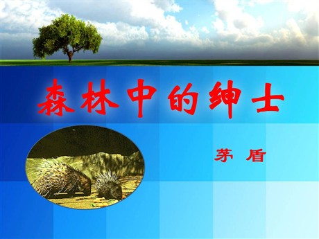《森林中的绅士》PPT课件4
