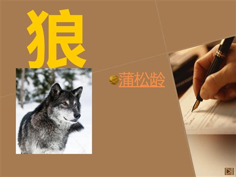 《狼》PPT课件8