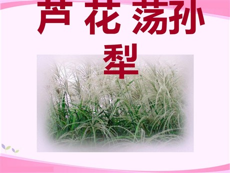 《芦花荡》PPT课件7