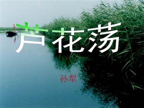 《芦花荡》PPT课件8