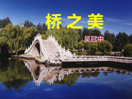 《桥之美》PPT课件5