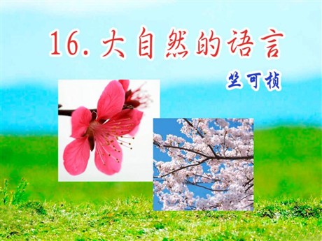 《大自然的语言》PPT课件8