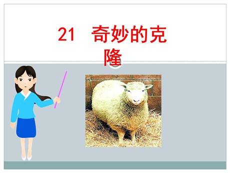 《奇妙的克隆》PPT课件8