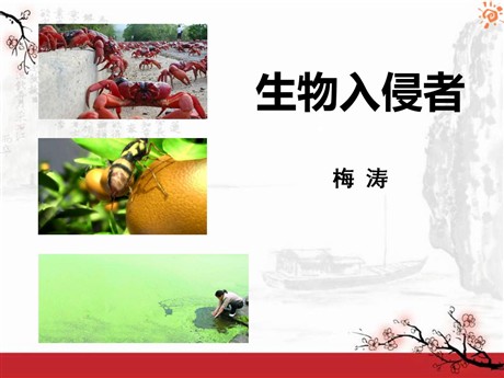 《生物入侵者》PPT课件4