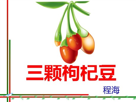 《三颗枸杞豆》PPT课件4