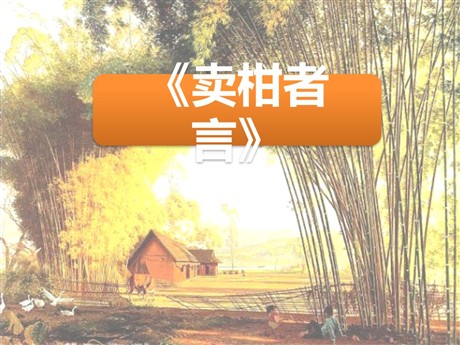 《卖柑者言》PPT课件2