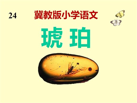 《琥珀》PPT课件6