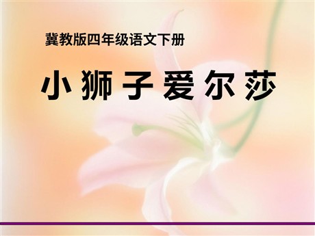 《小狮子爱尔莎》PPT课件2