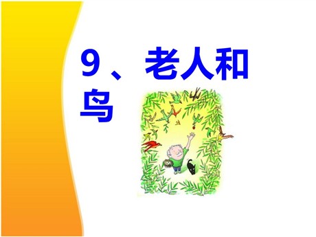 《老人和鸟》PPT课件3