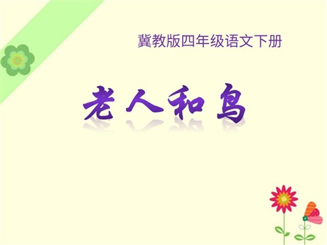 《老人和鸟》PPT课件4