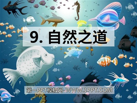 《自然之道》PPT课件7
