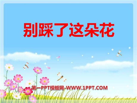 《别踩了这朵花》PPT课件3