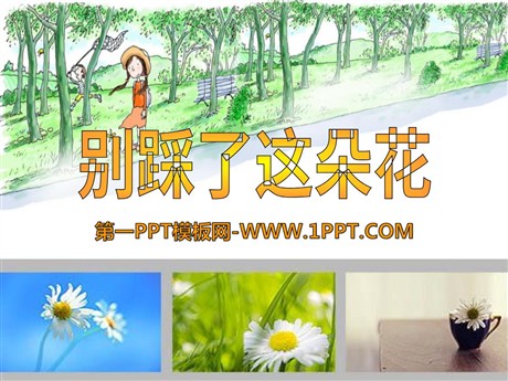 《别踩了这朵花》PPT课件5