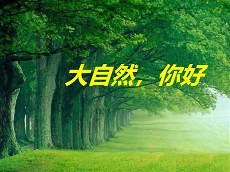 《大自然，你好》PPT课件2