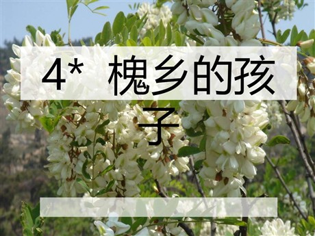 《槐乡的孩子》PPT课件2