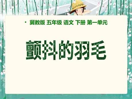 《颤抖的羽毛》PPT课件2